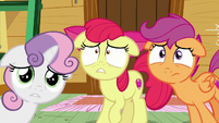 The Cutie Mark Crusaders worried S6E4