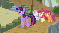 Twilight and Crusaders hear Terramar S8E6