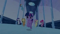 Giving a pony chase.
