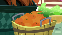 A tub of oranges S5E22