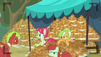 Apple Family lot of fritters S3E8