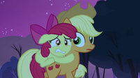 Applejack notices Apple Bloom on her back S3E06