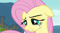 Aw, poor Fluttershy.