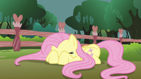 Fluttershy can't watch.