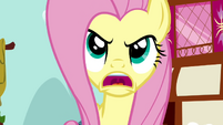 Fluttershy is angry S2E19