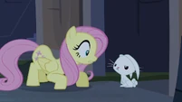 Fluttershy is always concerned of her Angel.