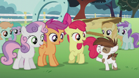 "...without the hard work of my campaign managers, the Cutie Mark Crusaders!"