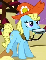 Pitch Perfect ID S3E8