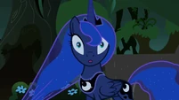 Something unexpected. "Princess Luna..."