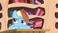 Rainbow not happy S4E21