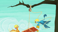 Smolder and Gallus lose control of the roof S8E9