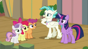 The Crusaders meet Silverstream's brother Terramar.