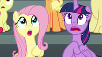 Twilight and Fluttershy in shock S6E7