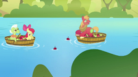 Apple Bloom, Big Mac, and Granny Smith salvaging apples S03E10