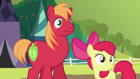 Apple Bloom and Big Mac left behind S5E17