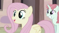 "Gosh, you really are the nicest ponies I've ever met."