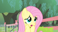 Fluttershy 'but I do not want to perform' S4E14