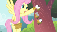 Fluttershy giving cheeses to mouses S4E14