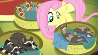 Fluttershy putting her critters to sleep S8E18