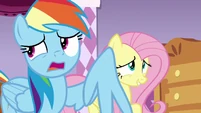 Rainbow Dash "maybe...?" S7E19.png (839 KB)