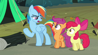 Rainbow Dash 'Can you get us' S3E06