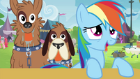 Rainbow Dash and orthros drooling S4E22
