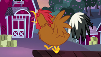 Rooster crowing at dawn S9E10