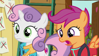 Scootaloo "I never said that" S6E4