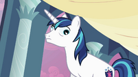 Shining Armor spinning eyes S2E25