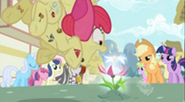 204px-Apple Bloom pounces S02E06