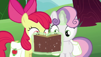 Apple Bloom and Sweetie Belle look at Derby book S6E14