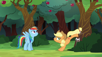 Applejack bucking the apple tree again S6E18