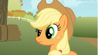 Applejack looks at Rainbow Dash with a questioning look S1E13