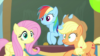 Fluttershy, RD, and Applejack hear Smolder MLPS3