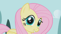 Fluttershy "I mean, yes" S1E03