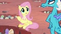 Fluttershy "are all these yours?" S9E9