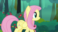 Fluttershy walking down the forest path S8E13