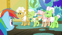 Gold Horseshoe Gals complain to Rainbow Dash S8E5