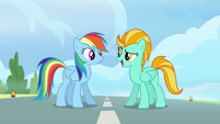 Rainbow Dash and Lightning Dust.