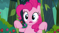 Pinkie Pie gasping in surprise S8E13