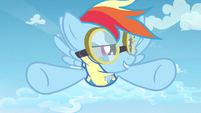 Rainbow Dash I'm in S3E7