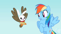 Rainbow Dash sees the owl and bunny hybrid S2E07