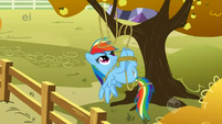 Rainbow Dash tangled in rope S01E13