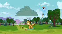 Rainbow Dash whistling innocently S3E8