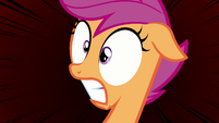 Scootaloo freaks out again S3E06