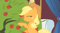 Applejack -one of my favorites- S01E21