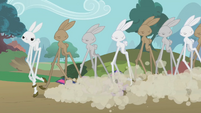 Angel leading the brigade of long-legged bunnies. "Good boy, Angel! Mama's so proud!"