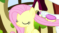 Fluttershy having her mane brushed S5E13