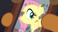 Fluttershy sees orange spots in her reflection S7E20