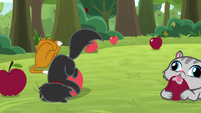 Goldie's cats playing with apples S9E10